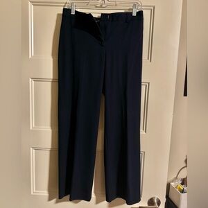 Petite Sophisticate Elegant Navy Blue Trousers